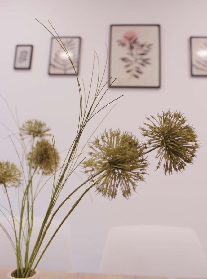 Cuenca Home 외부 사진